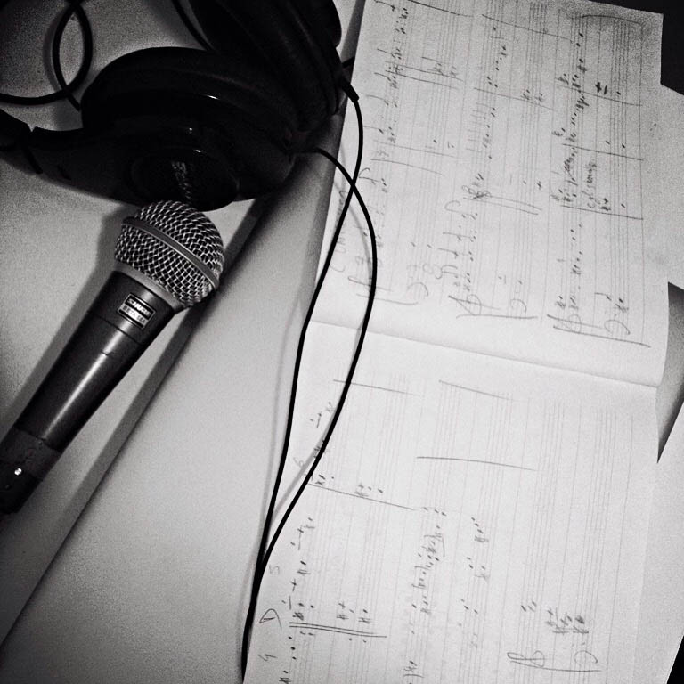 Recording voice (Ottobre 2015), Den Haag